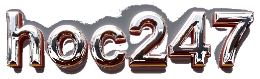 hoc247 logo